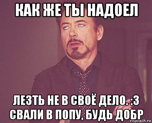 как же ты надоел лезть не в своё дело. :3 свали в попу, будь добр, Мем твое выражение лица