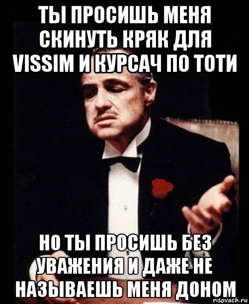 ты просишь меня скинуть кряк для vissim и курсач по тоти но ты просишь без уважения и даже не называешь меня доном, Мем ты делаешь это без уважения