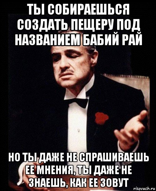 ты собираешься создать пещеру под названием бабий рай но ты даже не спрашиваешь ее мнения, ты даже не знаешь, как ее зовут, Мем ты делаешь это без уважения