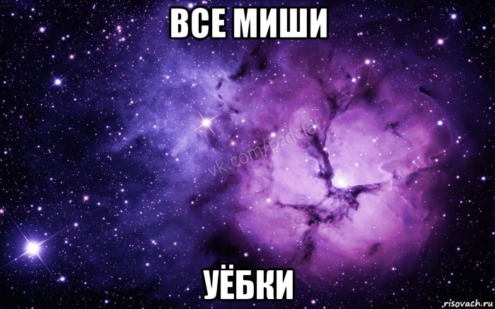 все миши уёбки