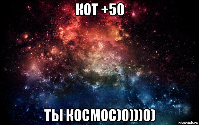 кот +50 ты космос)0)))0)