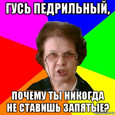 гусь педрильный, почему ты никогда не ставишь запятые?, Мем Типичная училка