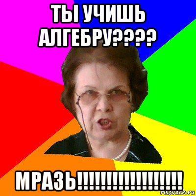 ты учишь алгебру???? МРАЗЬ!!!!!!!!!!!!!!!!!!, Мем Типичная училка