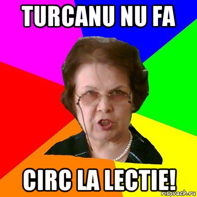 turcanu nu fa circ la lectie!, Мем Типичная училка