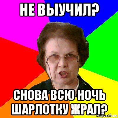 не выучил? снова всю ночь шарлотку жрал?, Мем Типичная училка