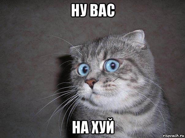 ну вас на хуй, Мем  удивлённый кот