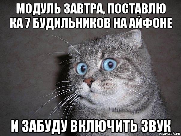 модуль завтра, поставлю ка 7 будильников на айфоне и забуду включить звук