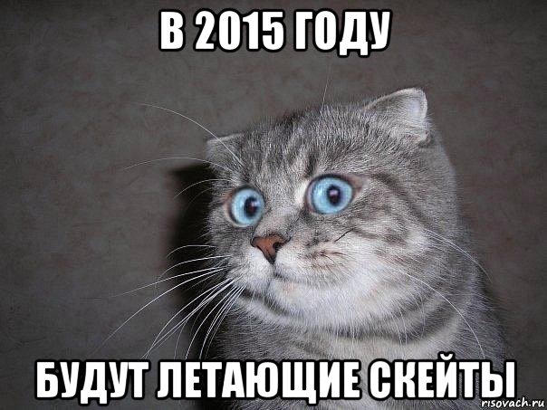 в 2015 году будут летающие скейты, Мем  удивлённый кот