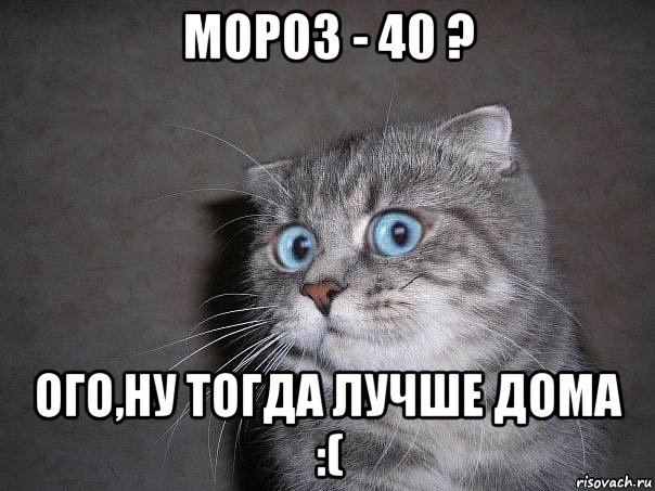 мороз - 40 ? ого,ну тогда лучше дома :(