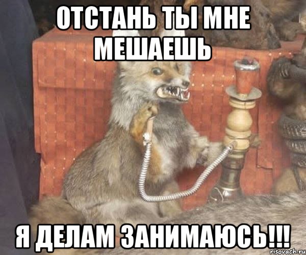 отстань ты мне мешаешь я делам занимаюсь!!!