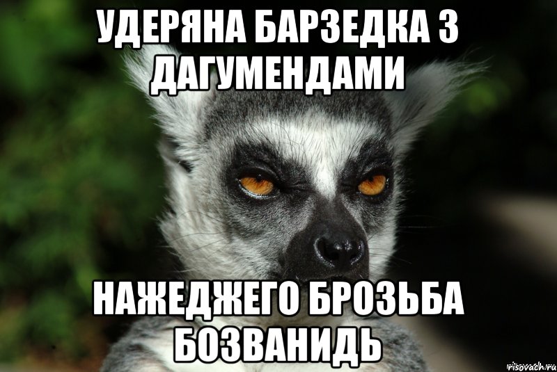 Удеряна барзедка з дагумендами нажеджего брозьба бозванидь, Мем   Я збагоен