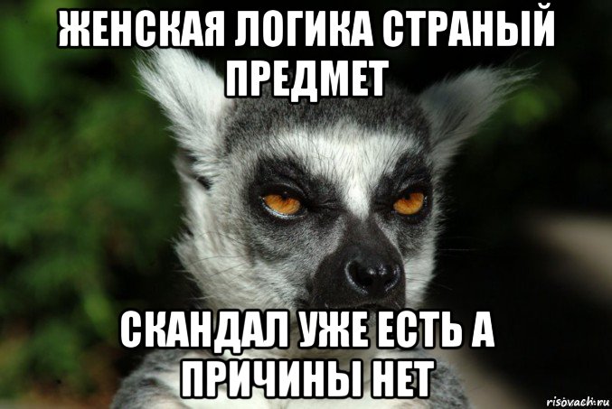 женская логика страный предмет скандал уже есть а причины нет, Мем   Я збагоен