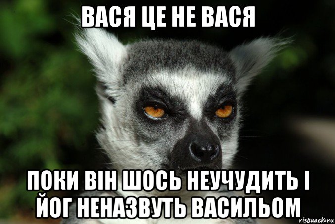 вася це не вася поки вiн шось неучудить i йог неназвуть васильом, Мем   Я збагоен