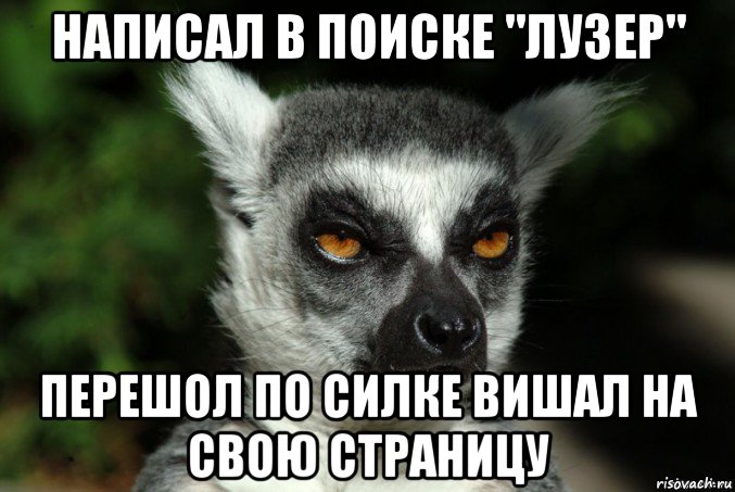 написал в поиске "лузер" перешол по силке вишал на свою страницу, Мем   Я збагоен