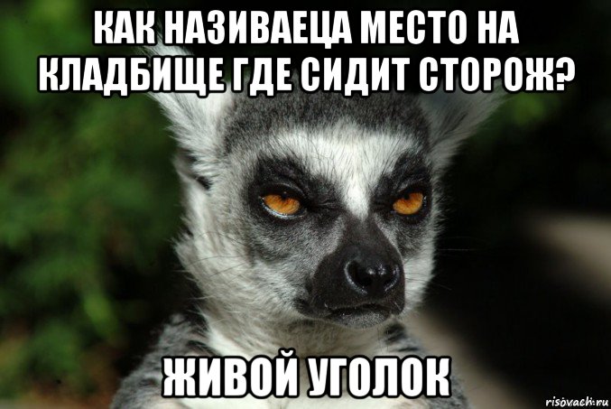 как називаеца место на кладбище где сидит сторож? живой уголок, Мем   Я збагоен