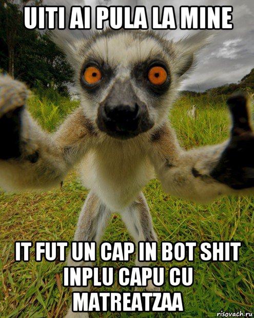 uiti ai pula la mine it fut un cap in bot shit inplu capu cu matreatzaa