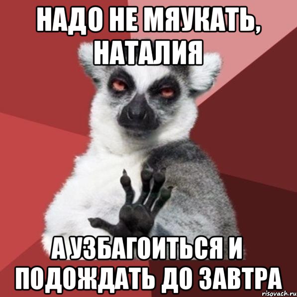 Надо не мяукать, Наталия а узбагоиться и подождать до завтра, Мем Узбагойзя