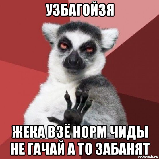 узбагойзя жека взё норм чиды не гачай а то забанят, Мем Узбагойзя