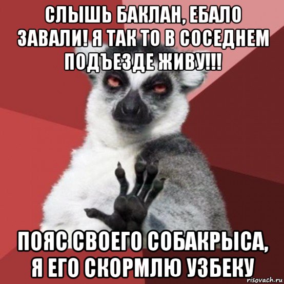 слышь баклан, ебало завали! я так то в соседнем подъезде живу!!! пояс своего собакрыса, я его скормлю узбеку, Мем Узбагойзя