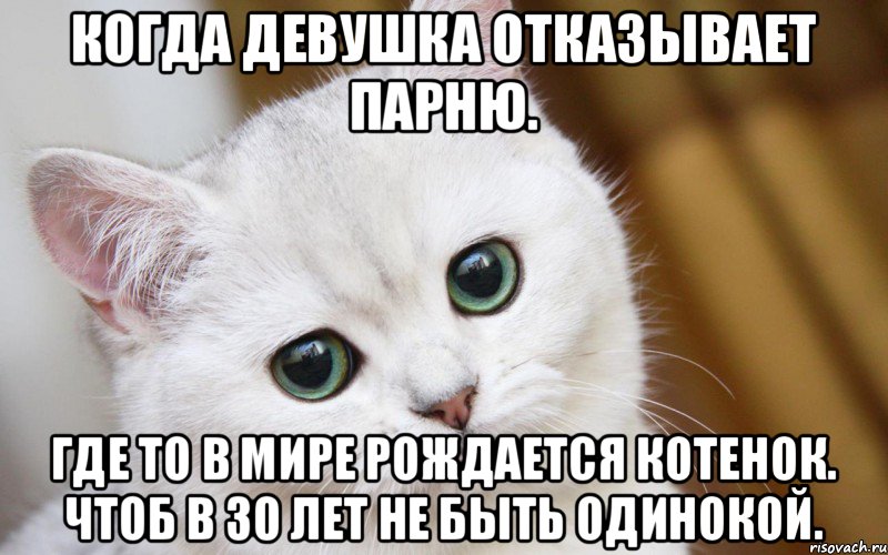 Когда девушка отказывает парню. Где то в мире рождается котенок. Чтоб в 30 лет не быть одинокой., Мем  В мире грустит один котик