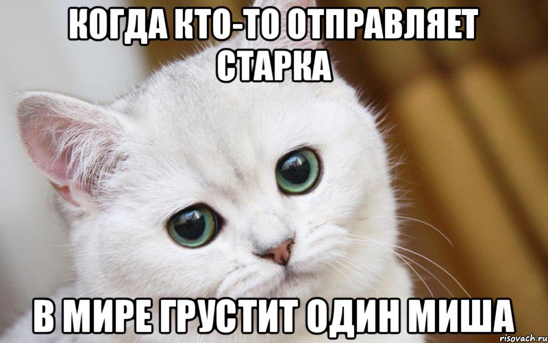 Когда кто-то отправляет старка в мире грустит один Миша, Мем  В мире грустит один котик