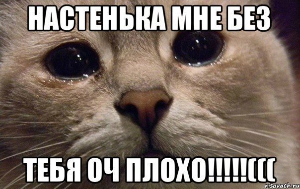 Настенька мне без Тебя оч плохо!!!!!(((, Мем   В мире грустит один котик