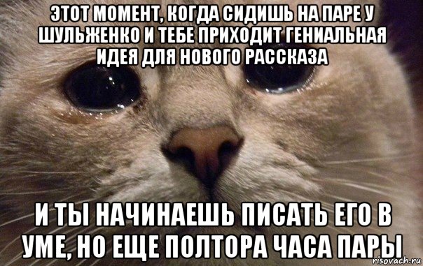 этот момент, когда сидишь на паре у шульженко и тебе приходит гениальная идея для нового рассказа и ты начинаешь писать его в уме, но еще полтора часа пары, Мем   В мире грустит один котик