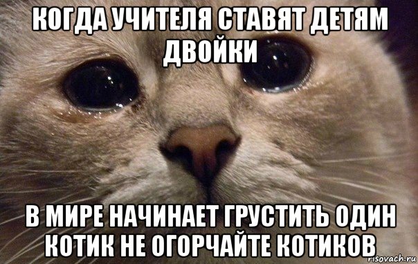 когда учителя ставят детям двойки в мире начинает грустить один котик не огорчайте котиков, Мем   В мире грустит один котик