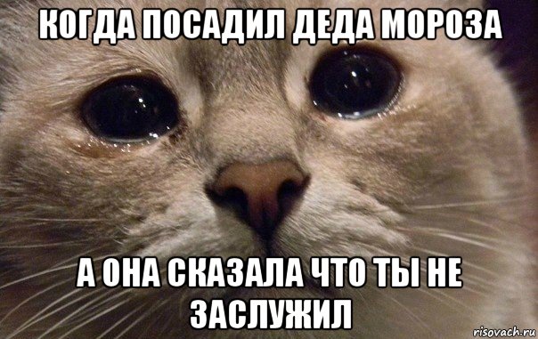 когда посадил деда мороза а она сказала что ты не заслужил, Мем   В мире грустит один котик