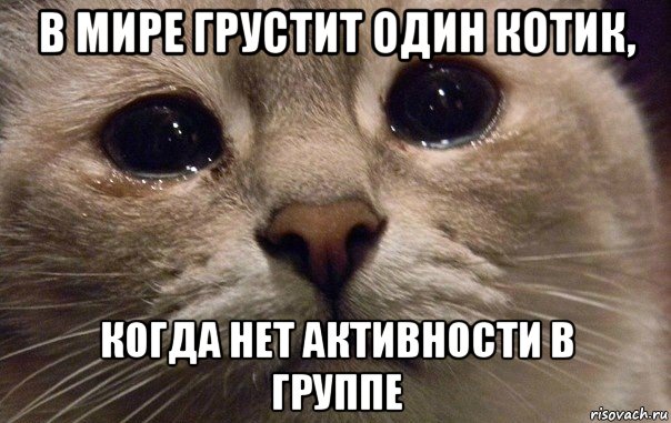 в мире грустит один котик, когда нет активности в группе, Мем   В мире грустит один котик