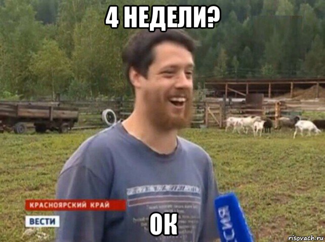 4 недели? ок