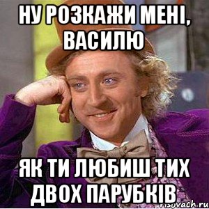 Ну розкажи мені, Василю як ти любиш тих двох парубків, Мем Ну давай расскажи (Вилли Вонка)