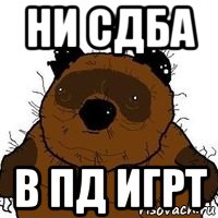 ни сдба в пд игрт