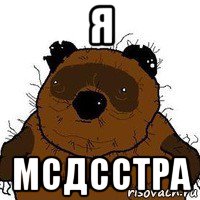 я мсдсстра