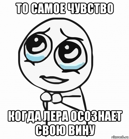 то самое чувство когда лера осознает свою вину, Мем  ну пожалуйста (please)