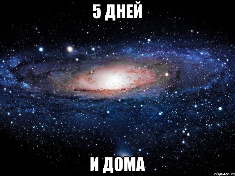 5 дней и дома, Мем Вселенная