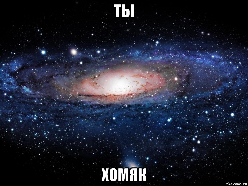 ты ХОМЯК, Мем Вселенная