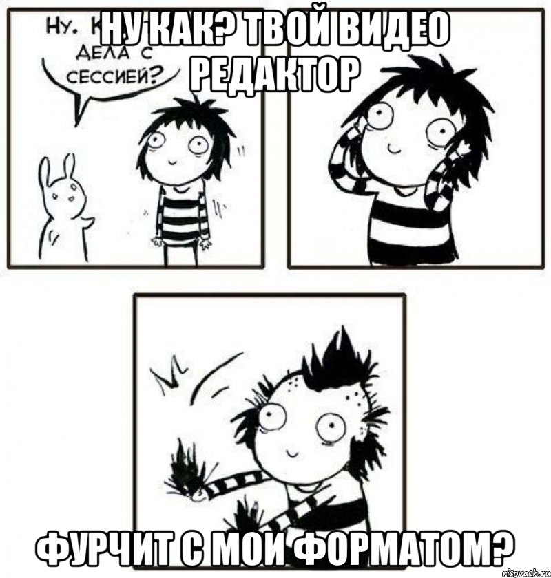 Ну как? Твой видео редактор фурчит с мои форматом?, Комикс Вырви волосы