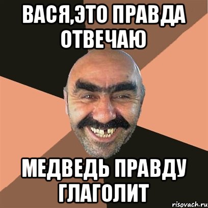 Вася,это правда Отвечаю Медведь правду глаголит, Мем Я твой дом труба шатал