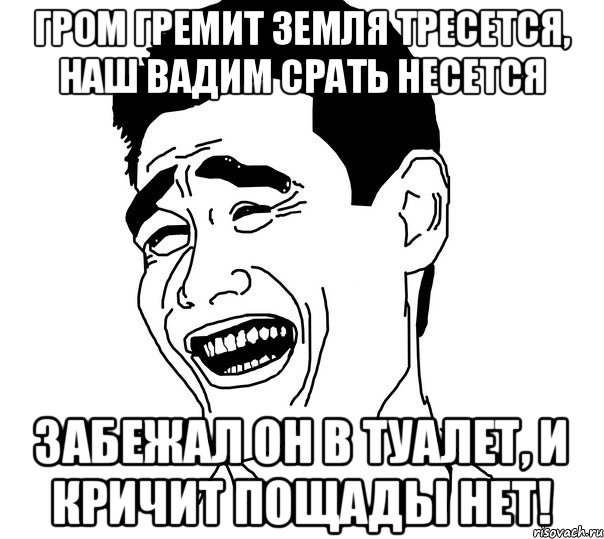 Гром гремит земля тресется, Наш Вадим срать несется Забежал он в туалет, и кричит пощады НЕТ!, Мем Яо минг