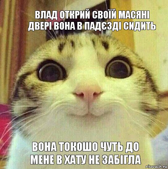 влад открий своїй масяні двері вона в падєзді сидить вона токошо чуть до мене в хату не забігла, Мем       Котяка-улыбака