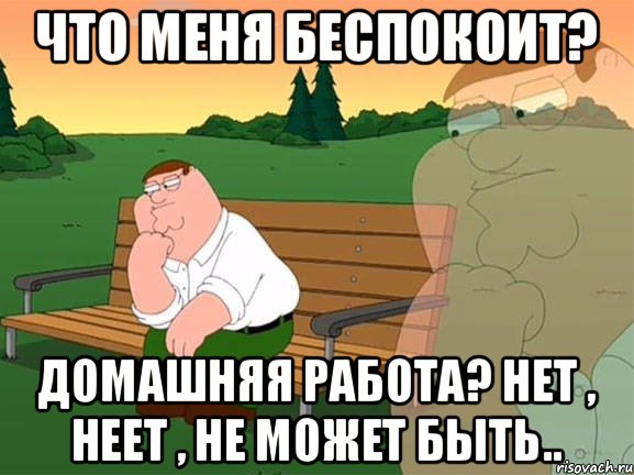 Что меня беспокоит? Домашняя работа? Нет , неет , не может быть.., Мем Задумчивый Гриффин