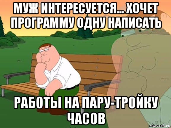 муж интересуется... хочет программу одну написать работы на пару-тройку часов, Мем Задумчивый Гриффин