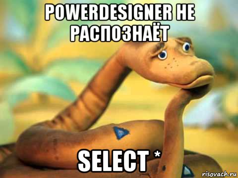 powerdesigner не распознаёт select *, Мем  задумчивый удав