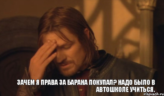 Зачем я права за барана покупал? Надо было в автошколе учиться., Мем Закрывает лицо