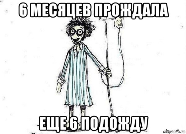 6 месяцев прождала еще 6 подожду, Мем  зато я сдал