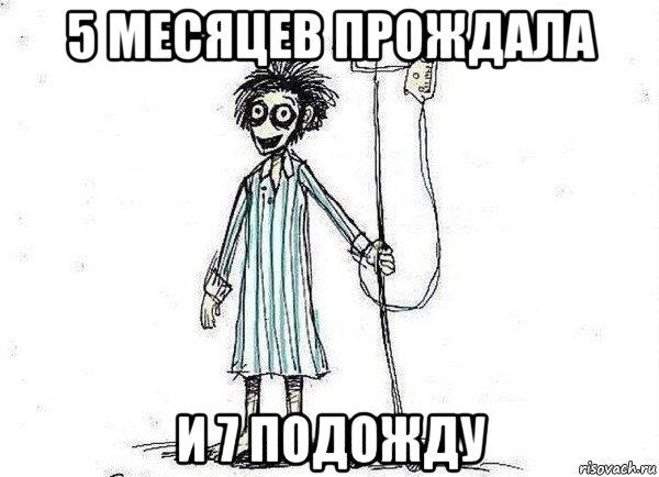 5 месяцев прождала и 7 подожду, Мем  зато я сдал