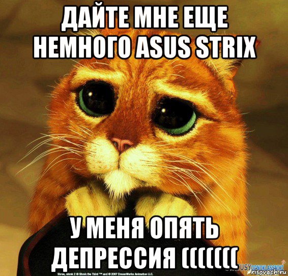 дайте мне еще немного asus strix у меня опять депрессия (((((((, Мем Котик из Шрека