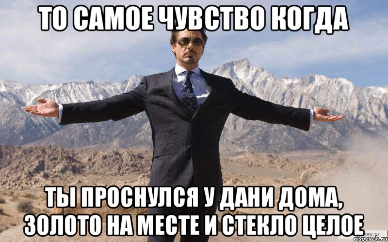 То самое чувство когда ты проснулся у дани дома, золото на месте и стекло целое, Мем железный человек