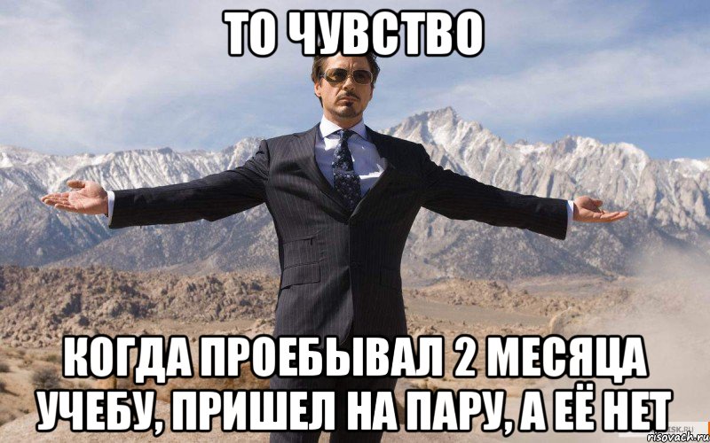 То чувство Когда проебывал 2 месяца учебу, пришел на пару, а её нет, Мем железный человек